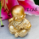 Baby Buddhas
