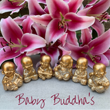 Baby Buddhas