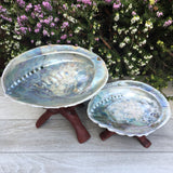 Abalone Shell with Stand (Large)